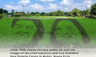 RICE PADDY ART OF BBM AND SARA DUTERTE