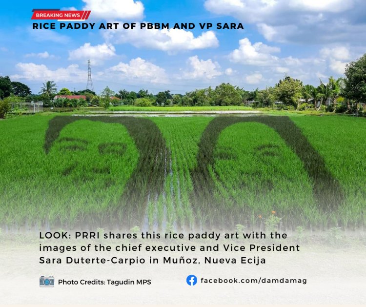 RICE PADDY ART OF BBM AND SARA DUTERTE